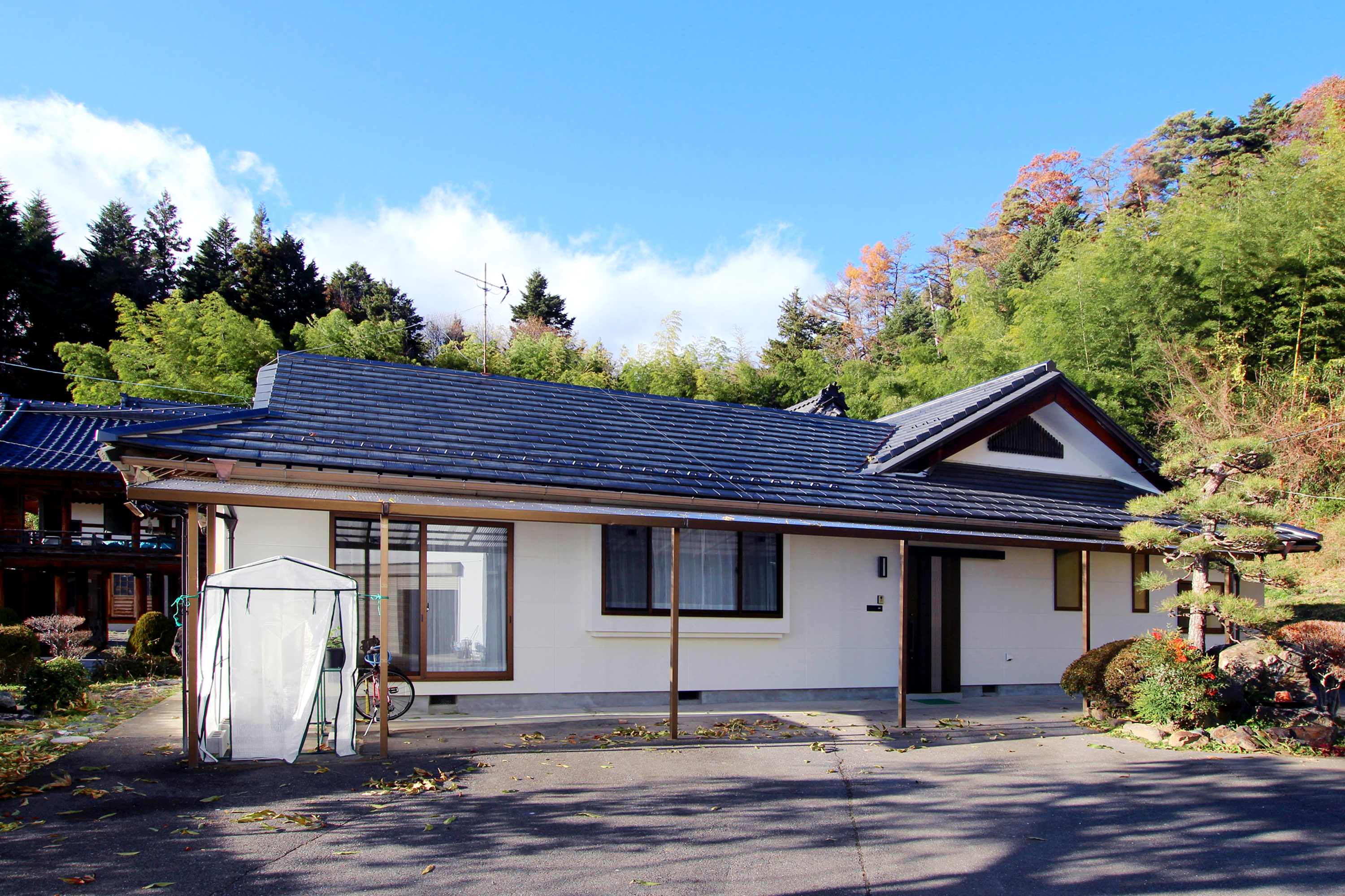 トップイメージ